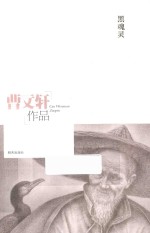曹文轩作品 黑魂灵