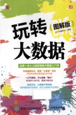 玩转大数据 图解版