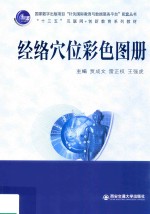 “十三五”互联网+创新教育系列教材 经络穴位彩色图册