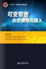 可变带宽光交换与光接入