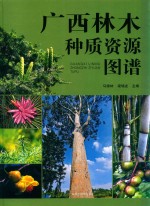 广西林木种质资源图谱