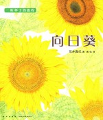 一粒种子的旅程 向日葵