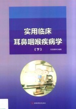 实用临床耳鼻咽喉疾病学 下