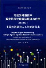 高速光纤通信中数字信号处理算法原理与应用 第2卷 多载波调制和人工智能新技术