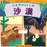 大自然的24小时（全4册） 沙漠