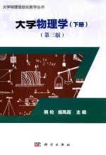 大学物理信息化教学丛书 大学物理学 下 第3版