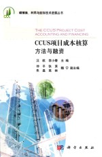 CCUS项目成本核算方法与融资