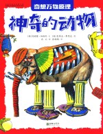 奇想万物原理 神奇的动物