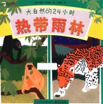 大自然的24小时(全4册) 热带雨林