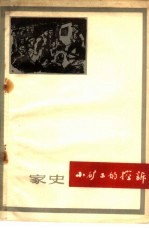小矿工的控诉 家史