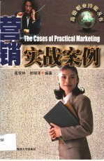 营销实战案例