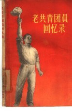 老共青团员回忆录