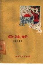公社好 短篇小说集