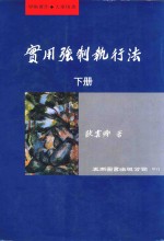 实用强制执行法 下
