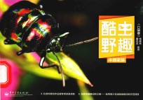 半翅家族 全彩