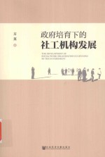 政府培育下的社工机构发展