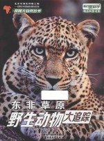 东非草原野生动物大追踪 下