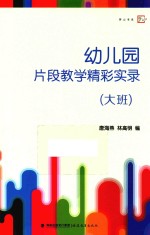 幼儿园片段教学精彩实录 大班