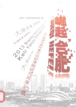 崛起,合肥