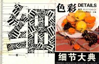 细节大典 色彩·细节