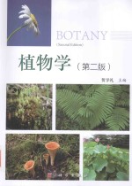 植物学 第2版 全彩版