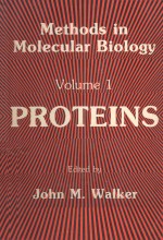 METHODS IN MOLECULAR BIOLOGY VOLUME 1 PROTEINS