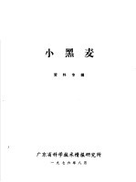 小黑麦资料专辑