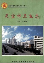 灵宝市卫生志 1983-2000