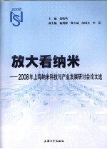 放大看纳米 2008年上海纳米科技与产业发展研讨会论文选