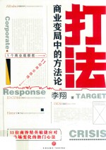 打法:商业变局中的方法论