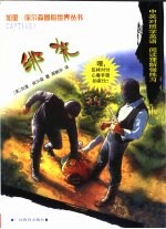 绑架 中英对照