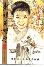 射雕英雄传 13