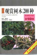 观赏树木200种