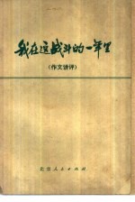 我在这战斗的一年里 作文讲评