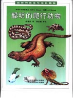 聪明的爬行动物