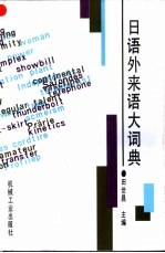 日语外来语大词典