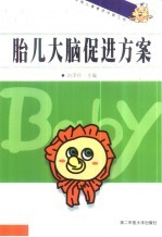 胎儿大脑促进方案