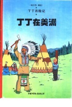 丁丁在美洲
