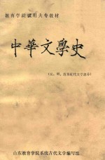 中华文学史 下 元、明、清及近代文学部分