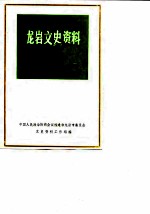 龙岩文史资料 第13辑
