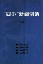 “四小”新闻例话