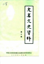 龙岩文史资料 第10辑