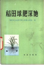 稻田球肥深施