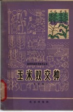 玉米双交种