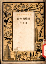蜜蜂的生活