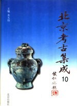 北京考古集成 10