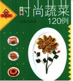 时尚蔬菜120例 图集