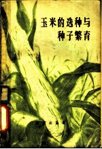 玉米的选种与种子繁育