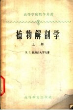 植物解剖学 上