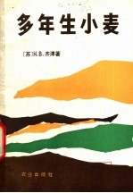 多年生小麦